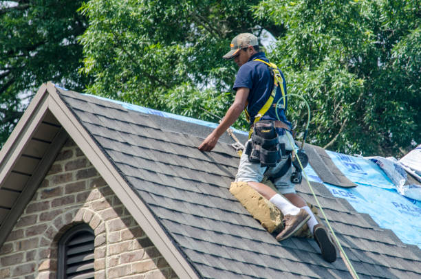 Roof Gutter Cleaning in East Griffin, GA